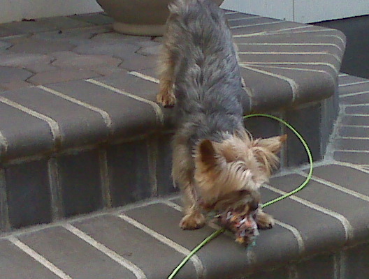 IMG00039.jpg