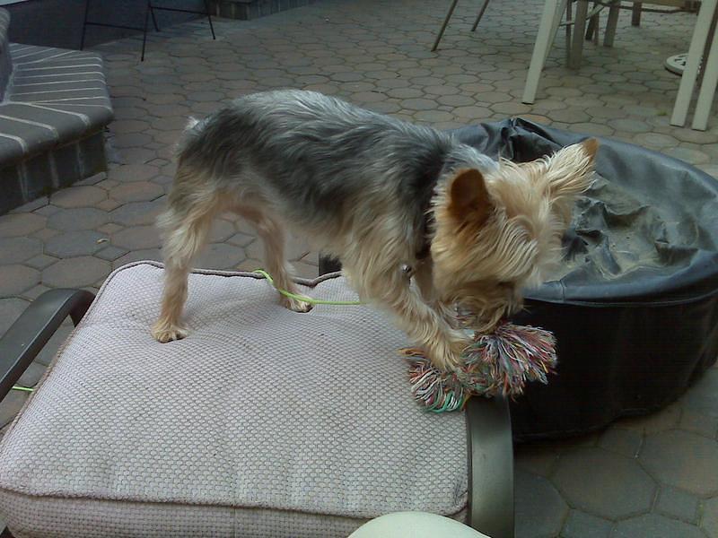 IMG00040.jpg