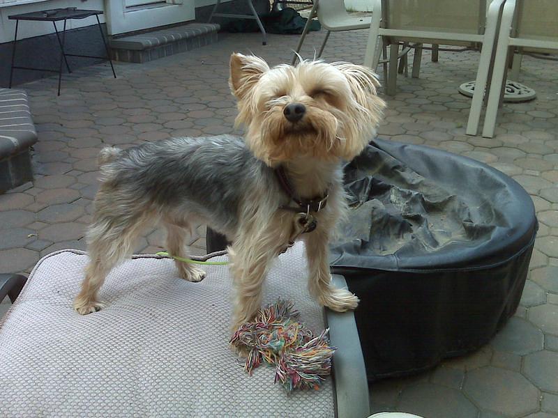 IMG00041.jpg