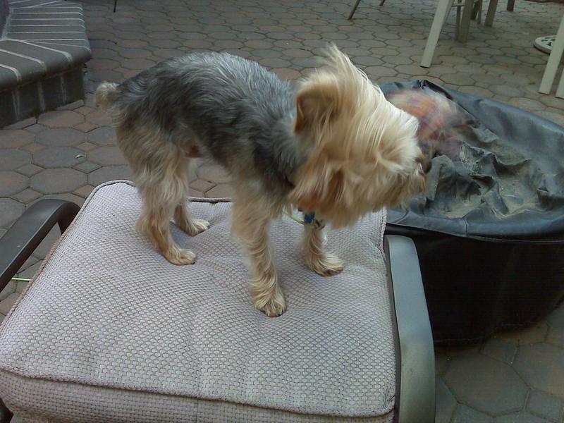 IMG00042.jpg