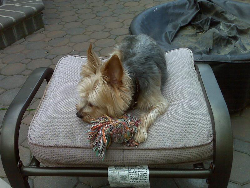 IMG00043.jpg