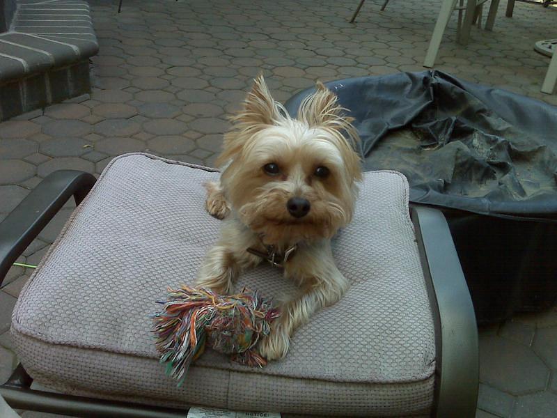 IMG00044.jpg