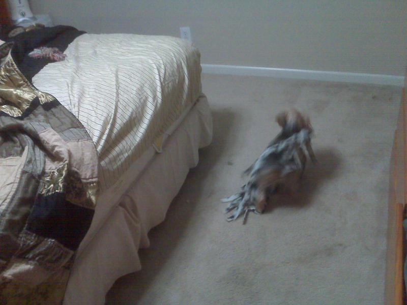 IMG00077.jpg