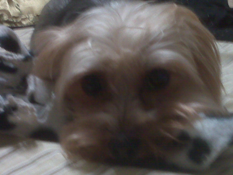 IMG00086.jpg