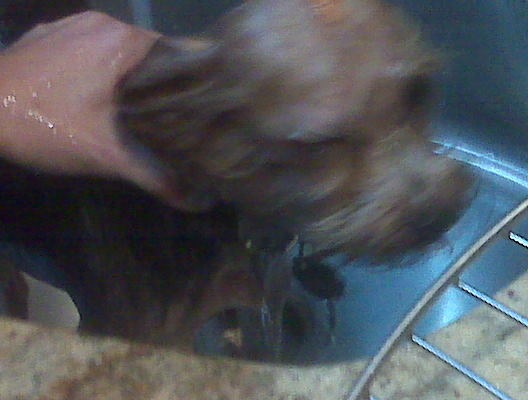IMG00091.jpg