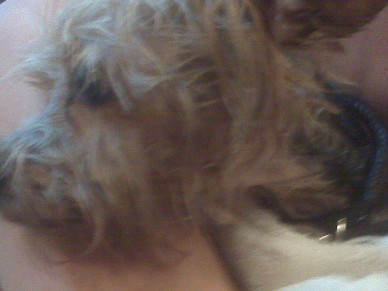 IMG00105.jpg