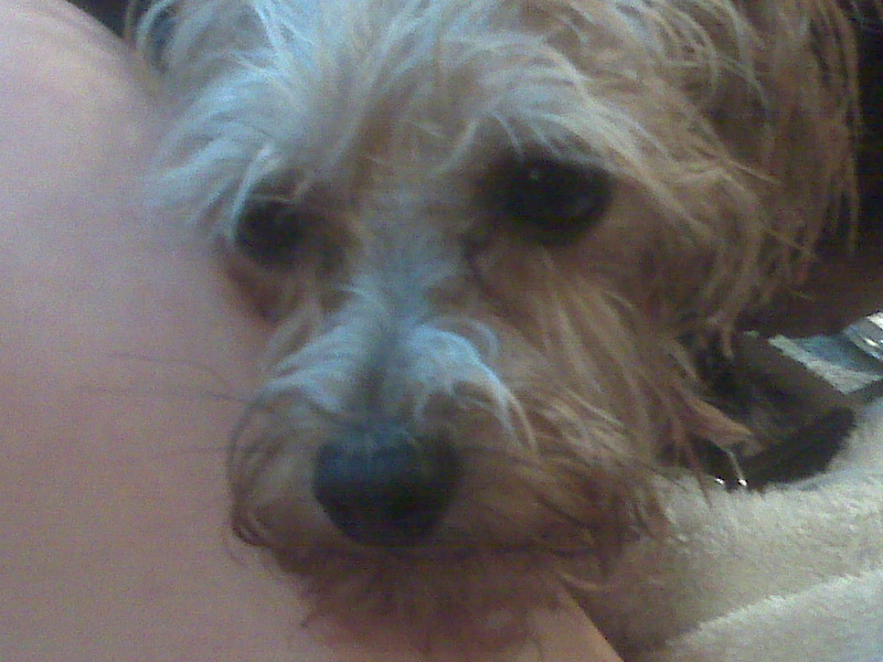 IMG00106.jpg