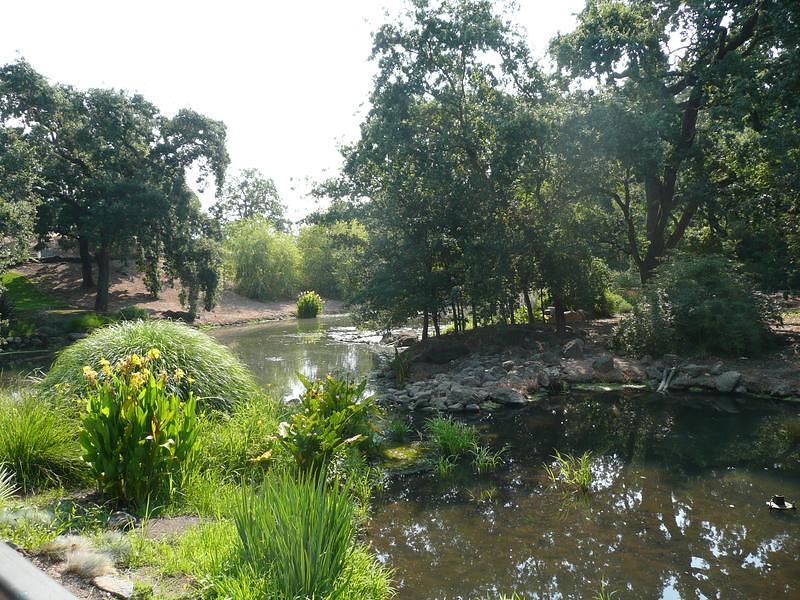 P1000344.JPG