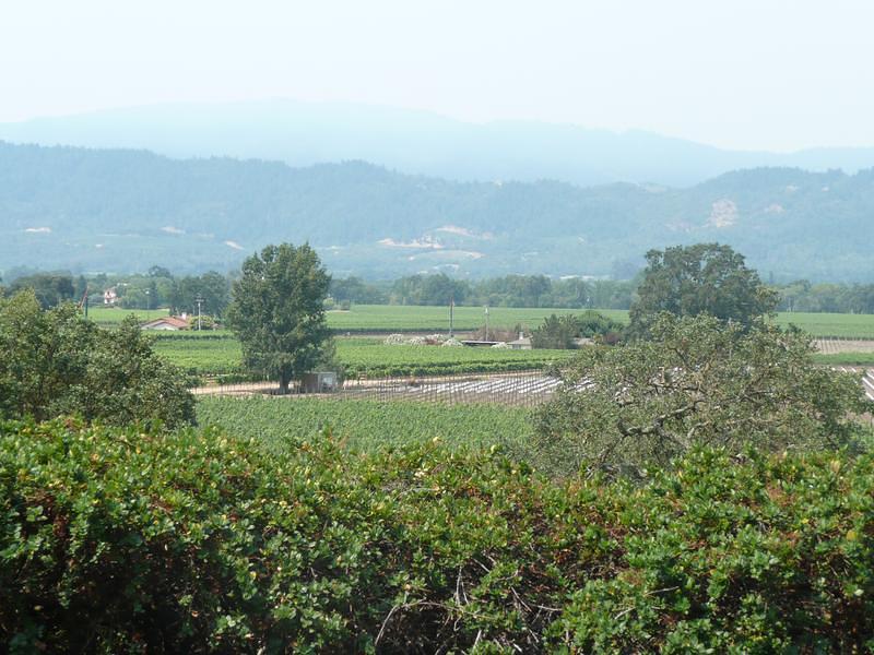 P1000353.JPG