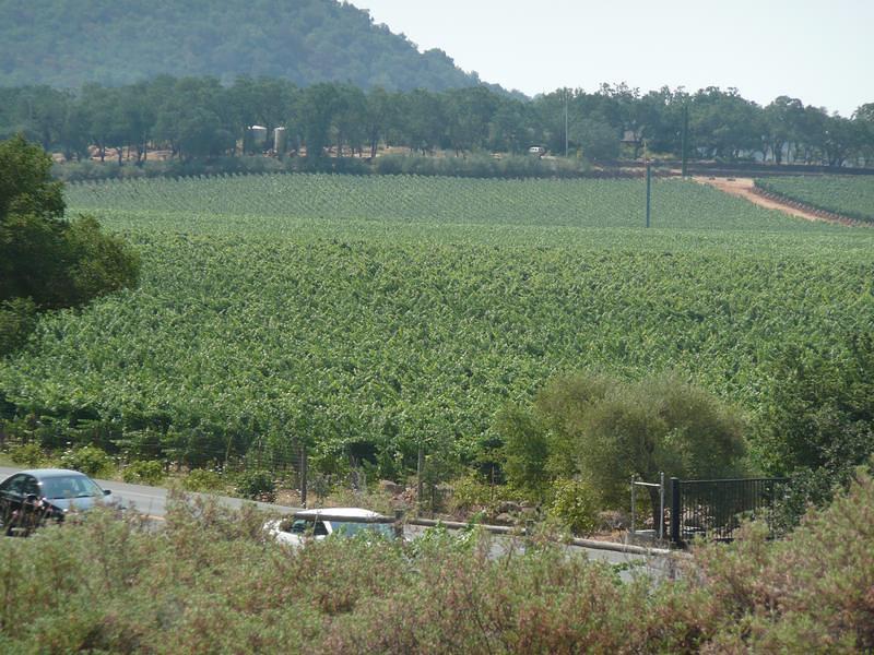 P1000354.JPG