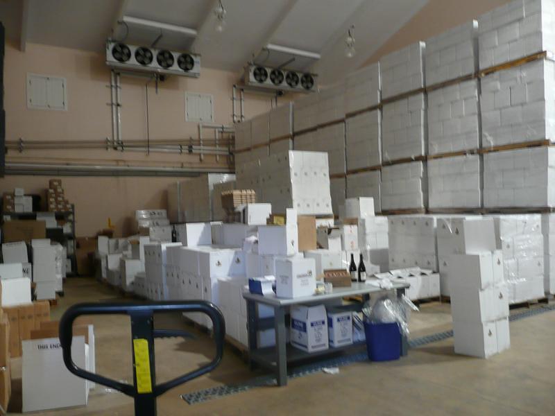 P1000359.JPG