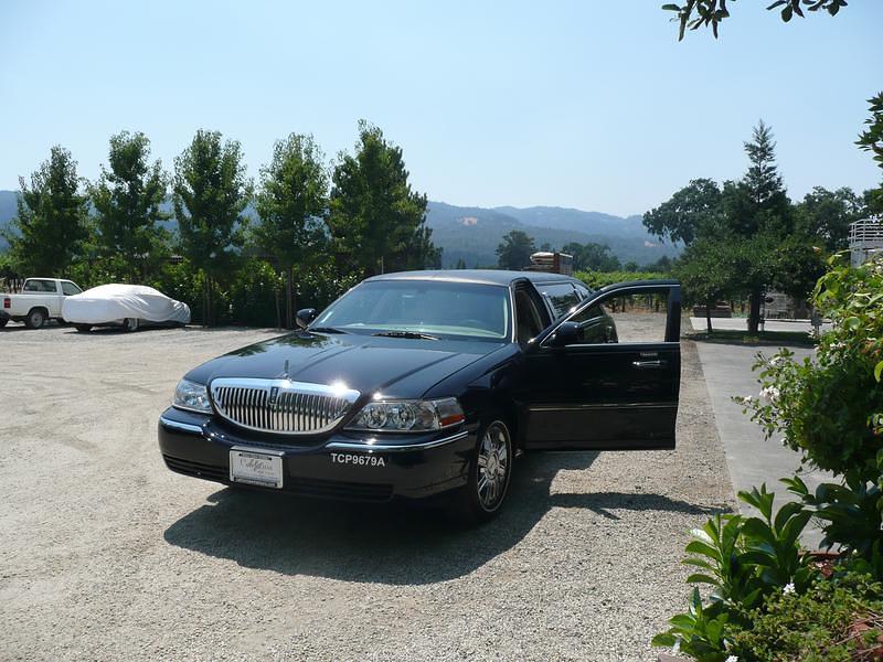 P1000390.JPG
