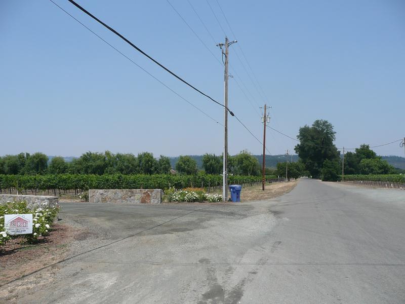 P1000393.JPG