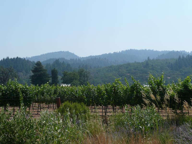 P1000400.JPG