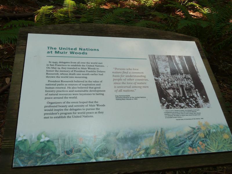 P1000493.JPG