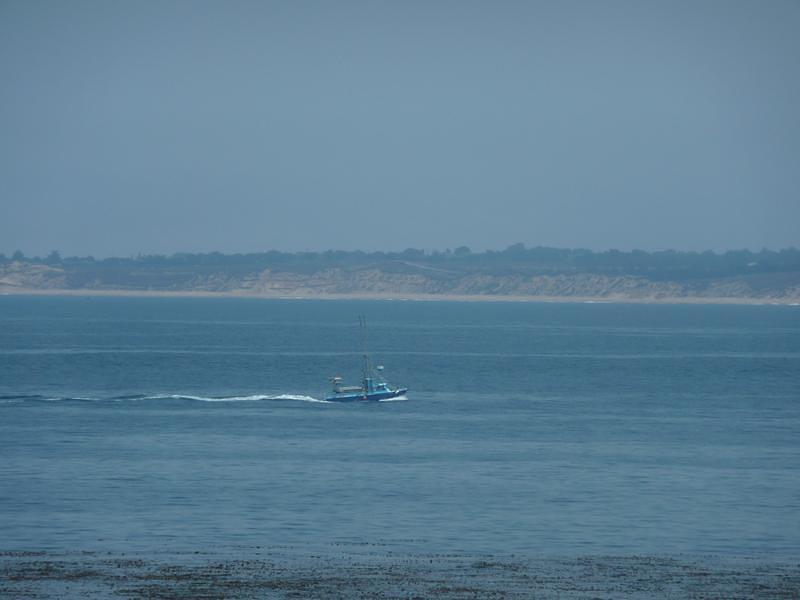 P1000751.JPG