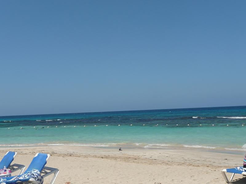 P1010284.JPG