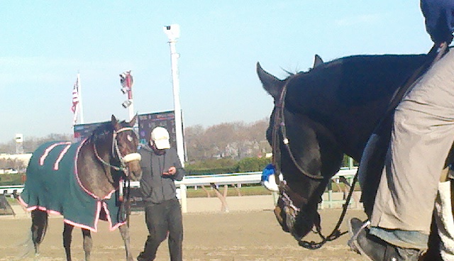 2011-11-25_14-29-08_931.jpg