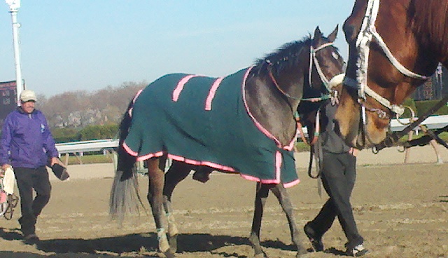 2011-11-25_14-29-12_650.jpg