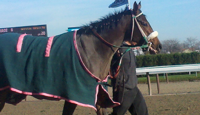2011-11-25_14-29-18_314.jpg