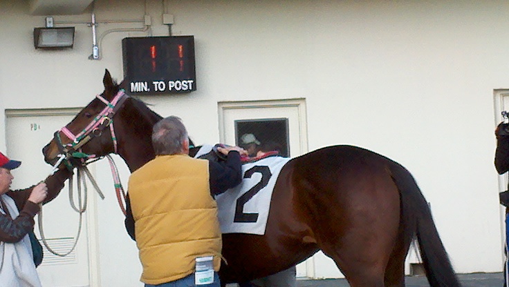 2012-01-01_14-01-54_357.jpg