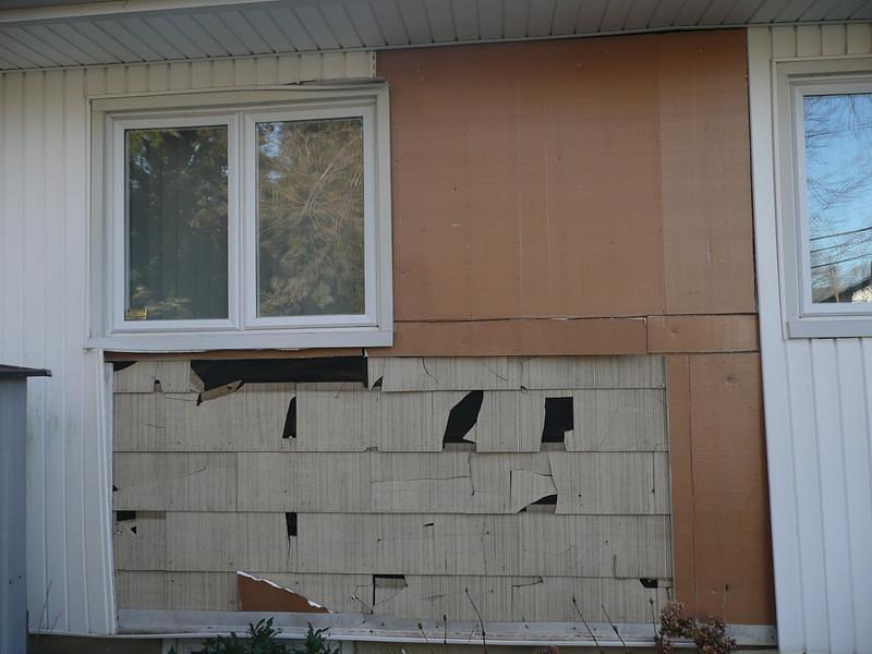 P1010449.JPG