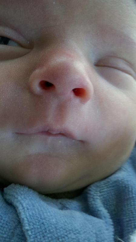 2012-04-27_12-20-14_368.jpg