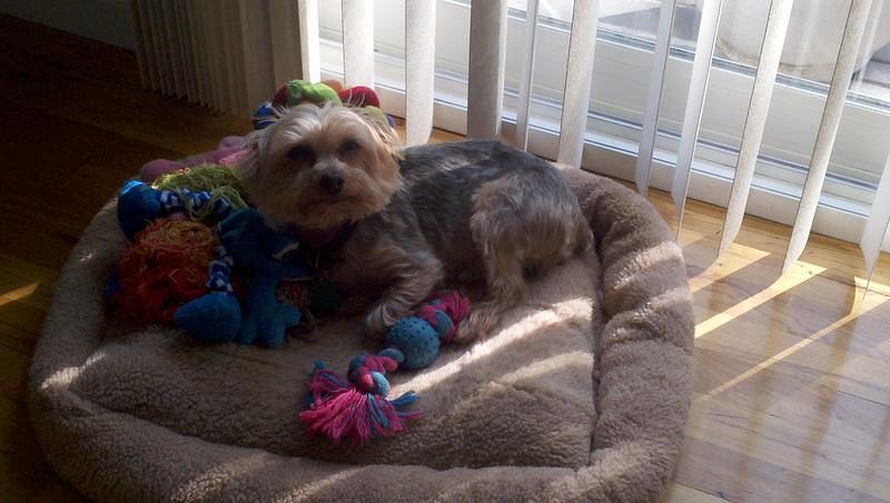 2012-04-28_09-29-37_714.jpg