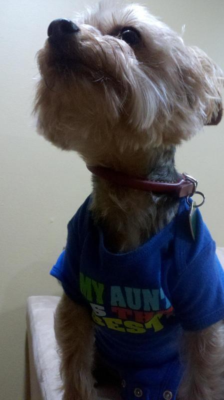 2012-04-29_21-47-47_993.jpg