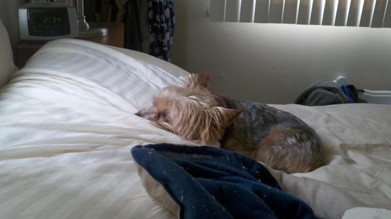 2012-05-04_14-34-52_887.jpg