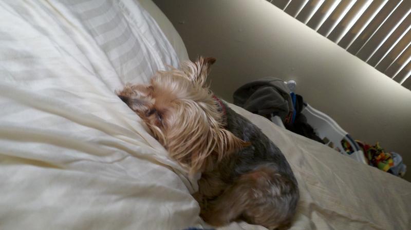 2012-05-04_14-35-01_844.jpg