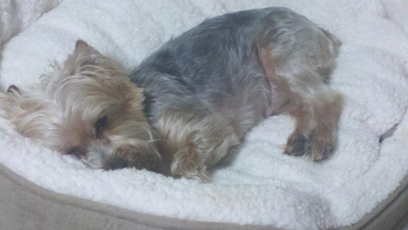 2012-05-05_21-46-27_670.jpg