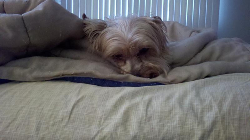 2012-05-07_09-42-56_365.jpg