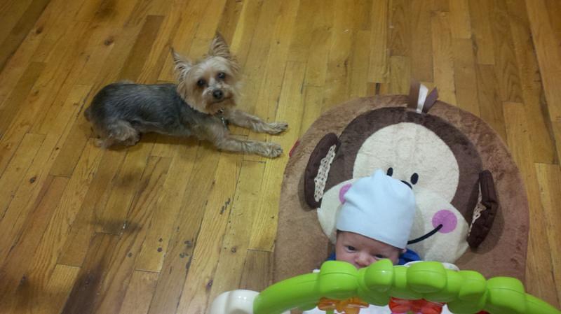 2012-05-09_18-49-26_704.jpg