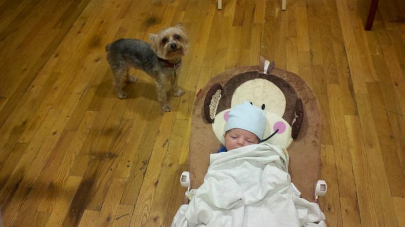 2012-05-09_18-49-48_362.jpg