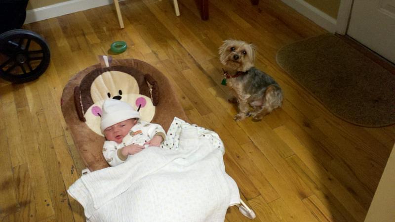 2012-05-14_17-12-14_997.jpg