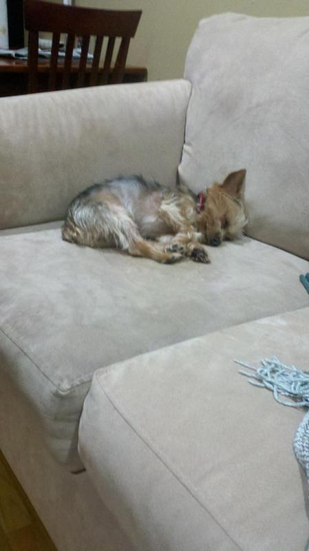 2012-05-20_20-48-39_683.jpg