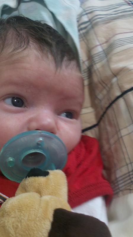 2012-05-23_16-55-47_888.jpg