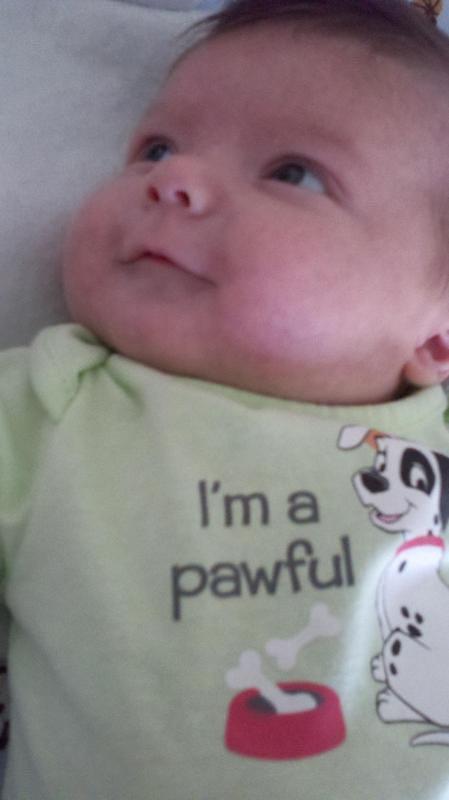 2012-06-20 15-00-40 423