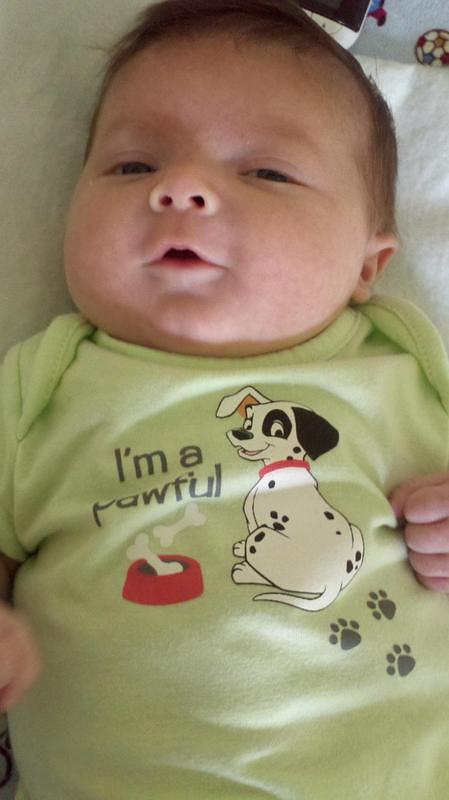2012-06-20 15-01-08 7