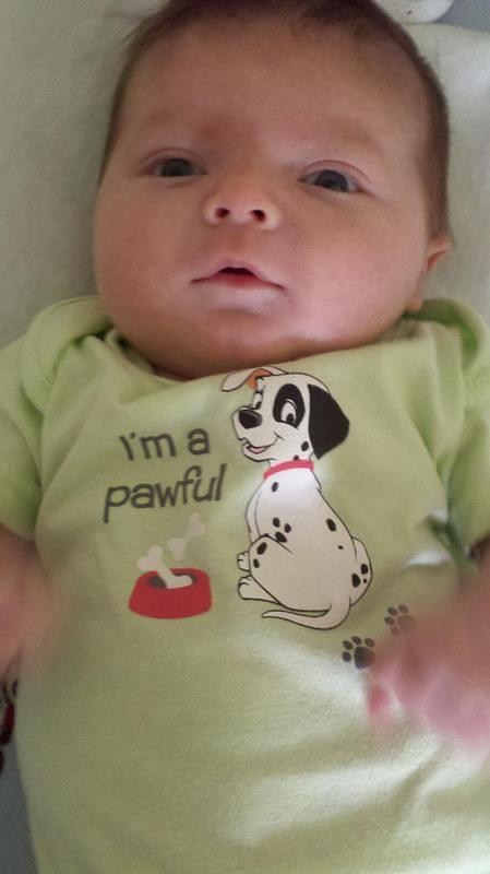 2012-06-20 15-02-03 252