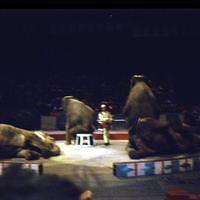 1959_04_Circus0002.JPG