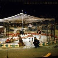 1959_04_Circus0003.JPG