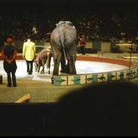 1959_04_Circus0005.JPG