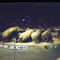 1959_04_Circus0007.JPG