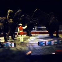 1959_04_Circus0008.JPG