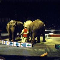 1959_04_Circus0014.JPG