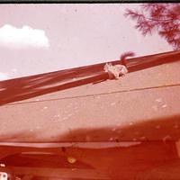 1968_08_LakePlacid0006.JPG