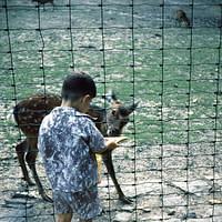 Undated_Zoo0008.JPG