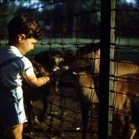 Undated_Zoo0015.JPG